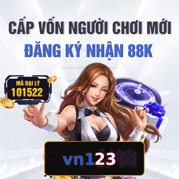 vn123