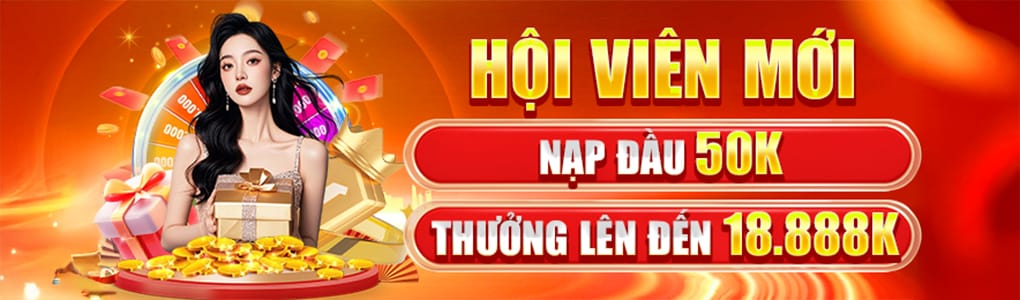 vn123