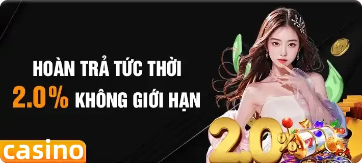 vn123