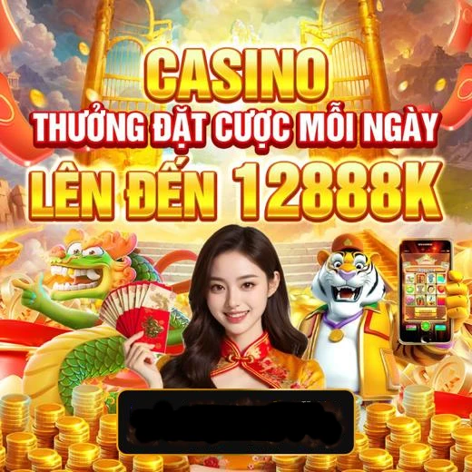 vn123