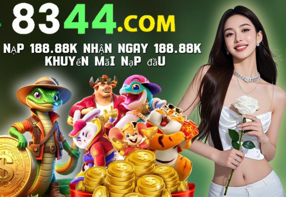 vn123