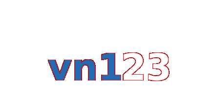 vn123