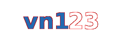 vn123