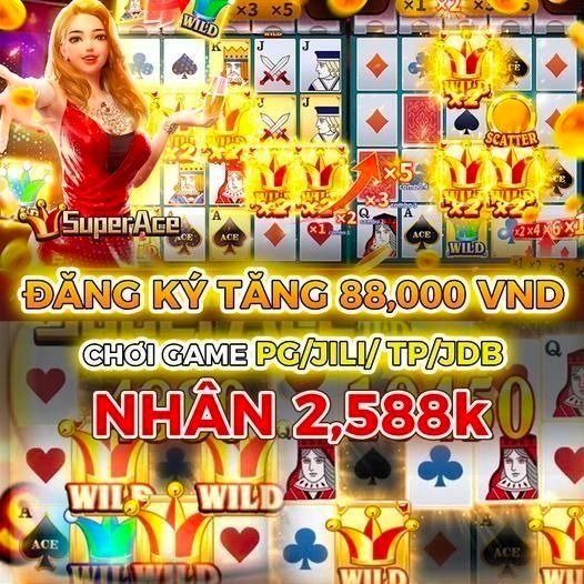 vn123